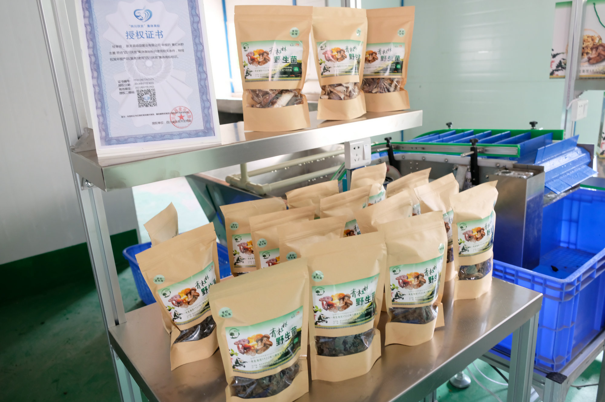 BETWAY������(����ķ��)�ٷ���վ-Official Platform