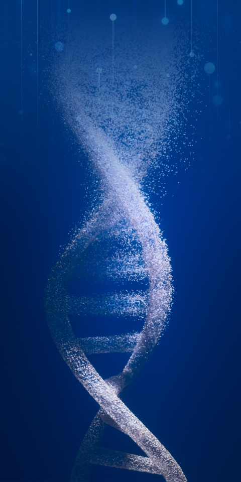 BETWAY������(����ķ��)�ٷ���վ-Official Platform