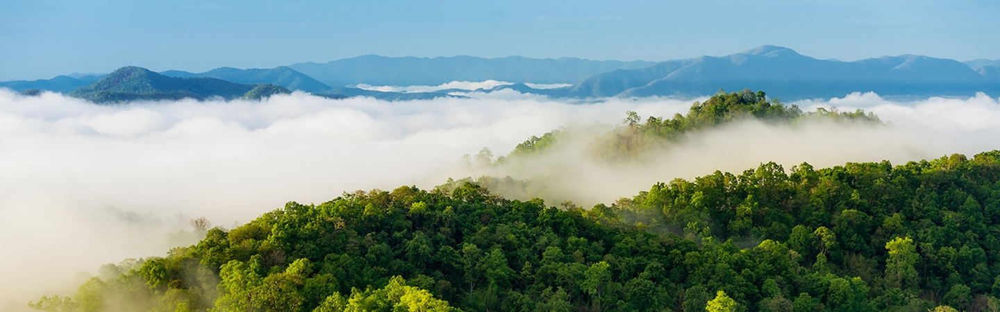 BETWAY������(����ķ��)�ٷ���վ-Official Platform