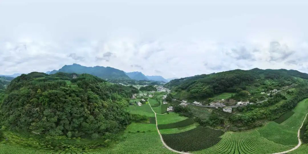 BETWAY������(����ķ��)�ٷ���վ-Official Platform